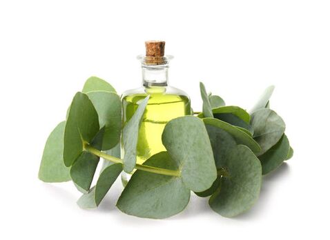 Huile d'eucalyptus dans le cadre de la crème Demyxil